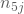 n_{5j}